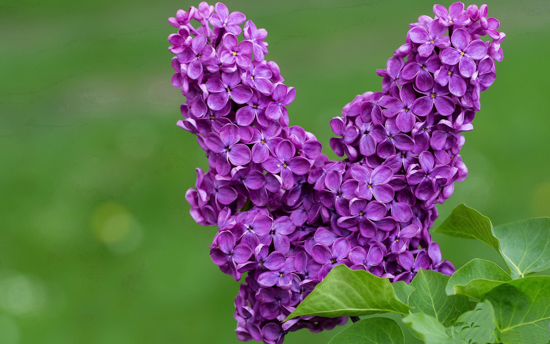 AYX SPORTS-_未来极限赛车：绿色科技引领新纪元_，未来赛车图片