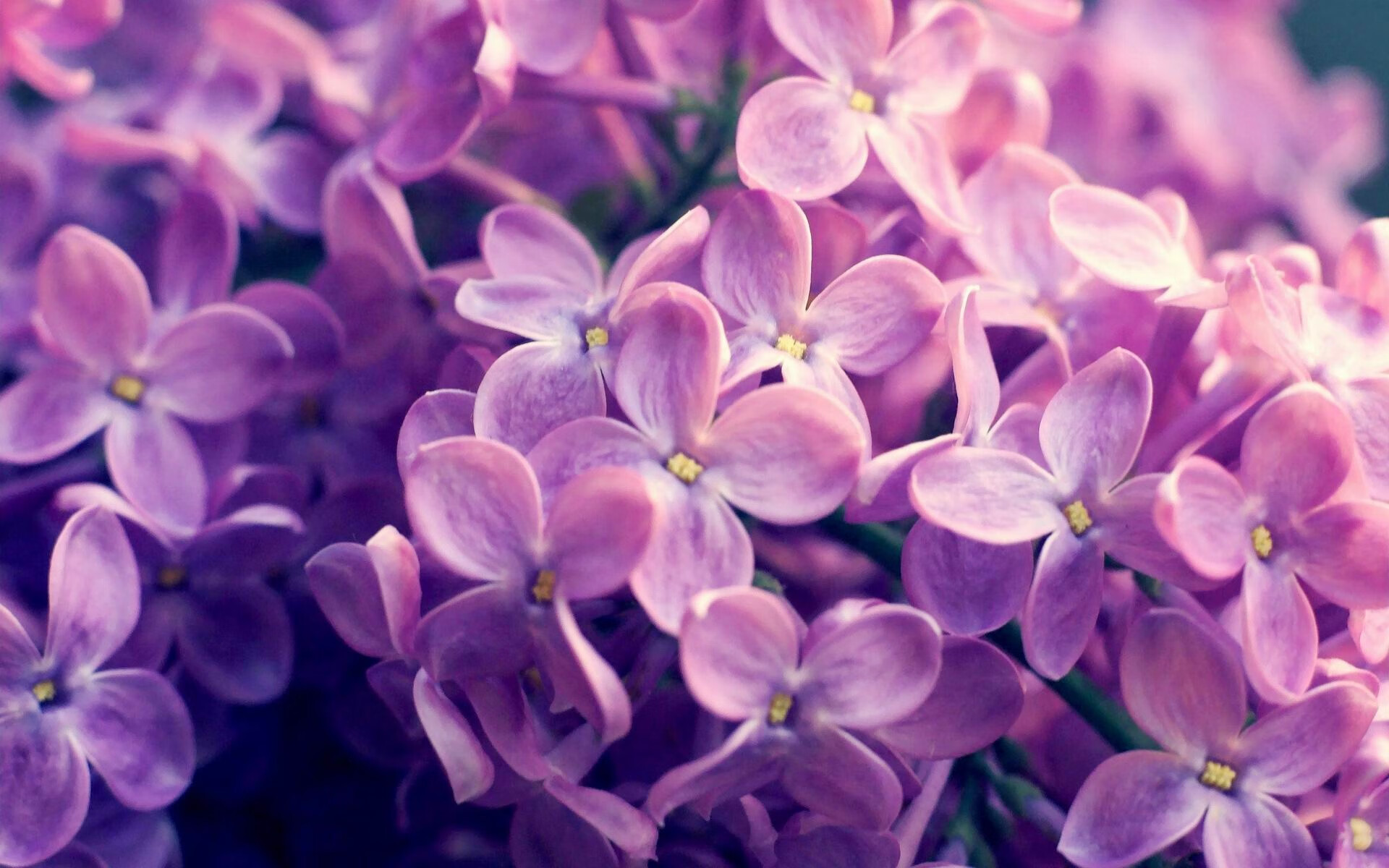 爱游戏娱乐平台-【攻防结合】顶级运动员如何用战术转变掌控全场？，运动员战术能力定义