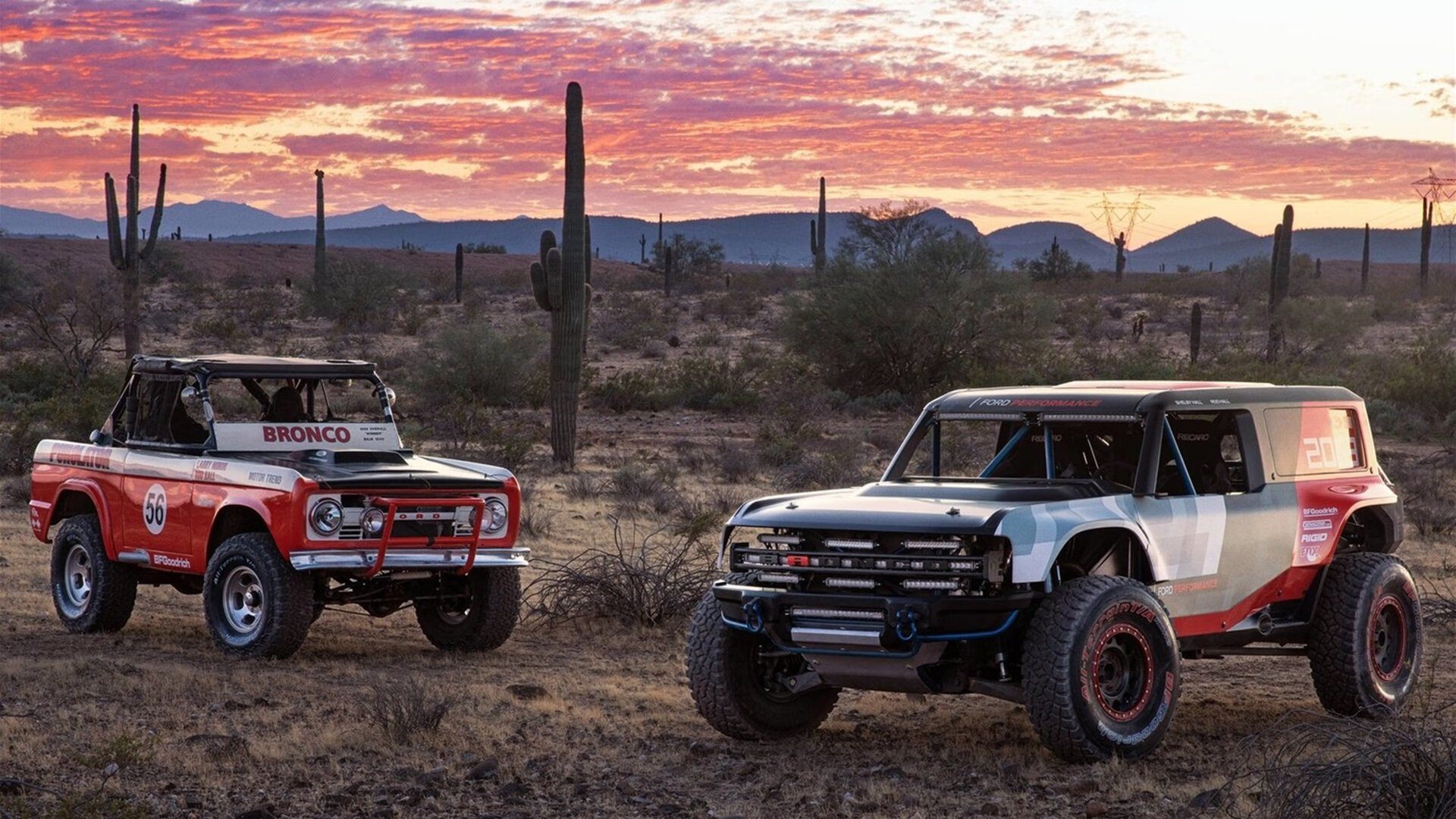 爱游戏体育APP下载-全国游泳锦标赛，水中角逐展现实力，全国游泳锦标赛2020