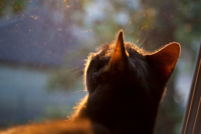 爱游戏中国官方网站平台-史上最“爆炸”的逆转，谁能刷新纪录？，爆炸瞬间