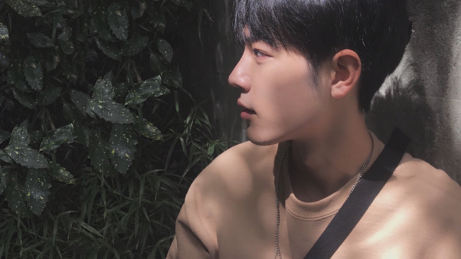 爱游戏娱乐-德甲引导青少年足球走向职业化，推动足球普及，国家对青少年足球的政策