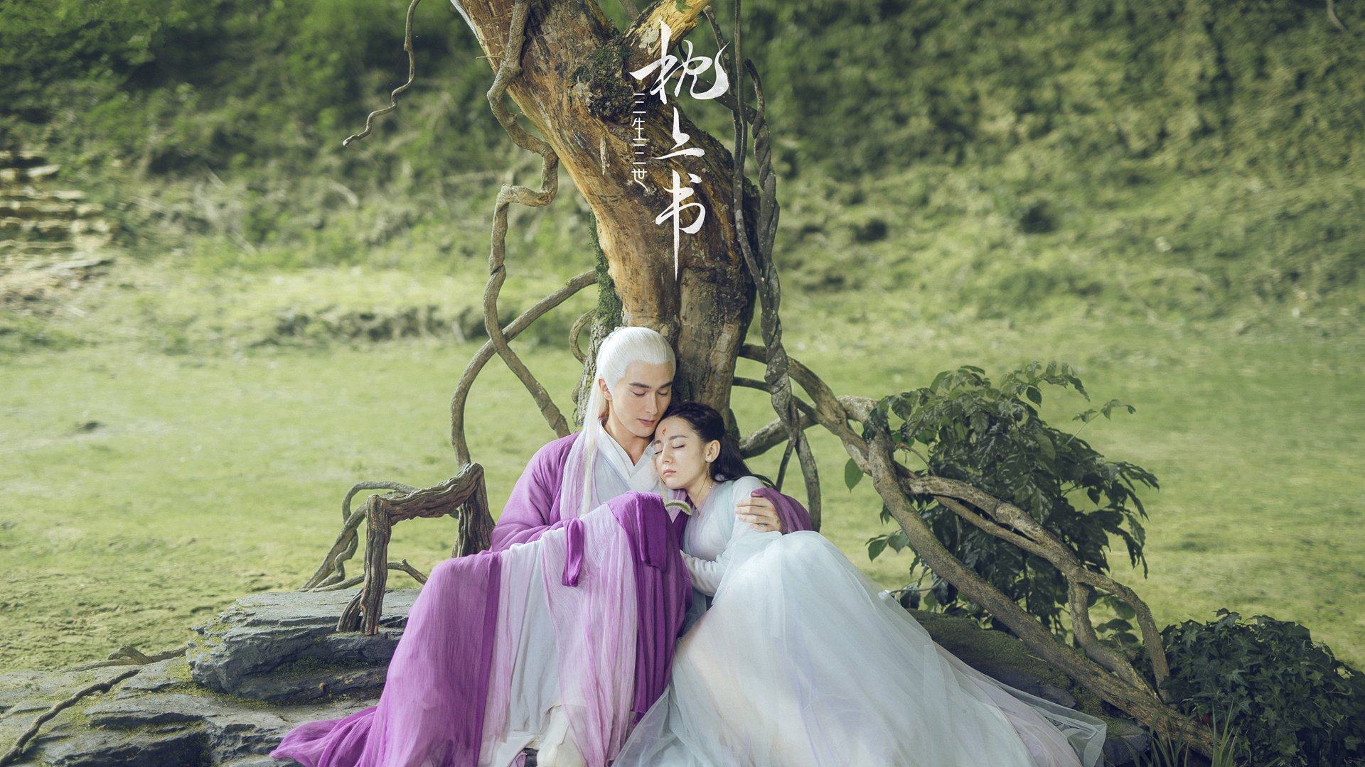 数据分析引领速度革命,坚持数据分析