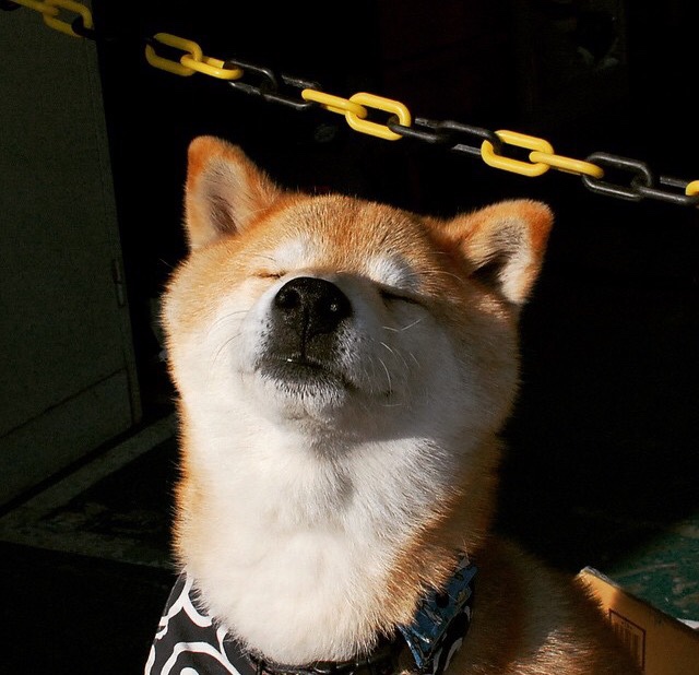 爱游戏娱乐网址-电竞视频制作：创意剪辑与视觉呈现，电竞视频策划