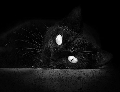 爱游戏综合娱乐-足球场地智能管理系统实现全境监控，保障安全高效，足球场地设施