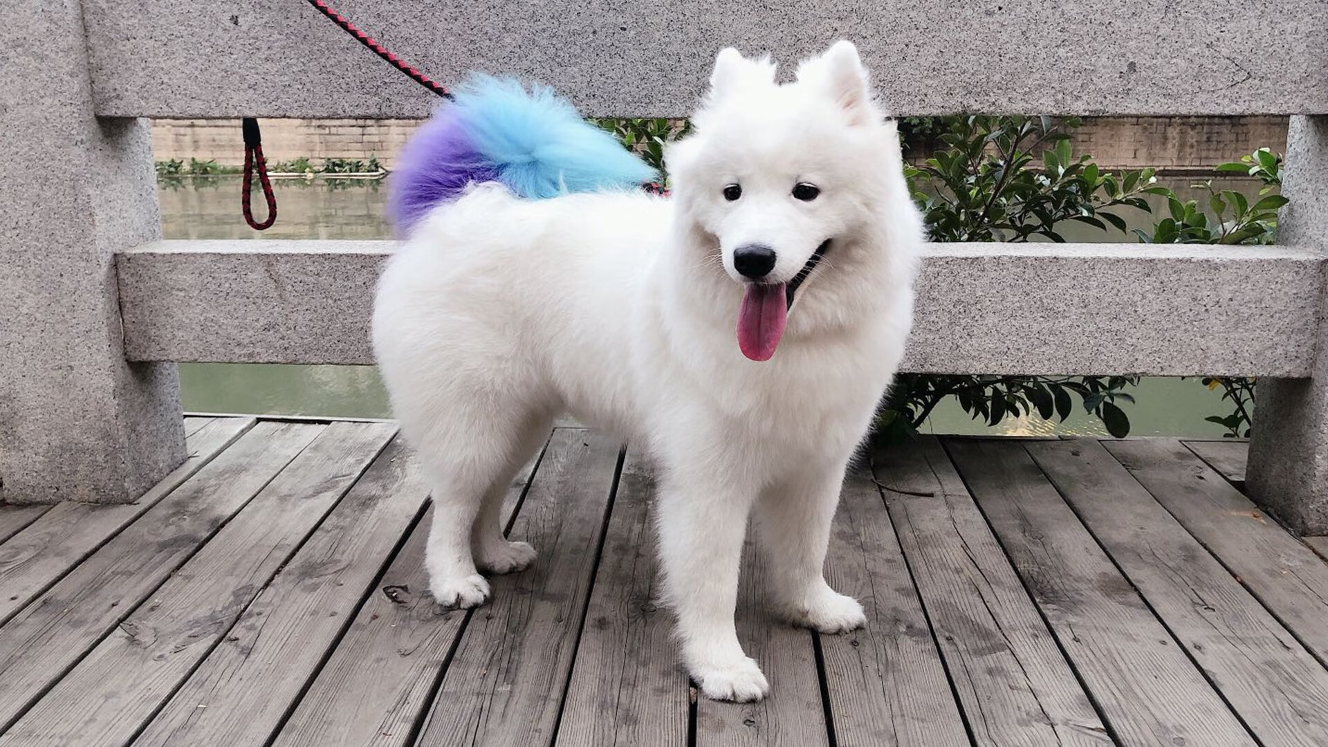 足球场新建设计亮点,提升比赛体验,足球场建设方案