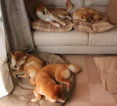 EDG赛区积分排名领先,edg常规赛排名