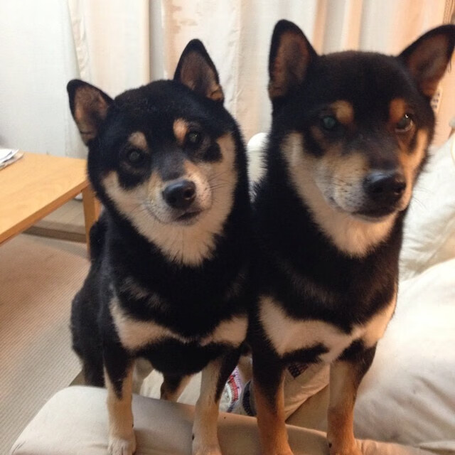 “科目三”广场舞在广西大化县火爆出圈