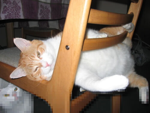 【罚分规则深度解读】不同犯规的处罚标准及应对策略,犯规罚球规则