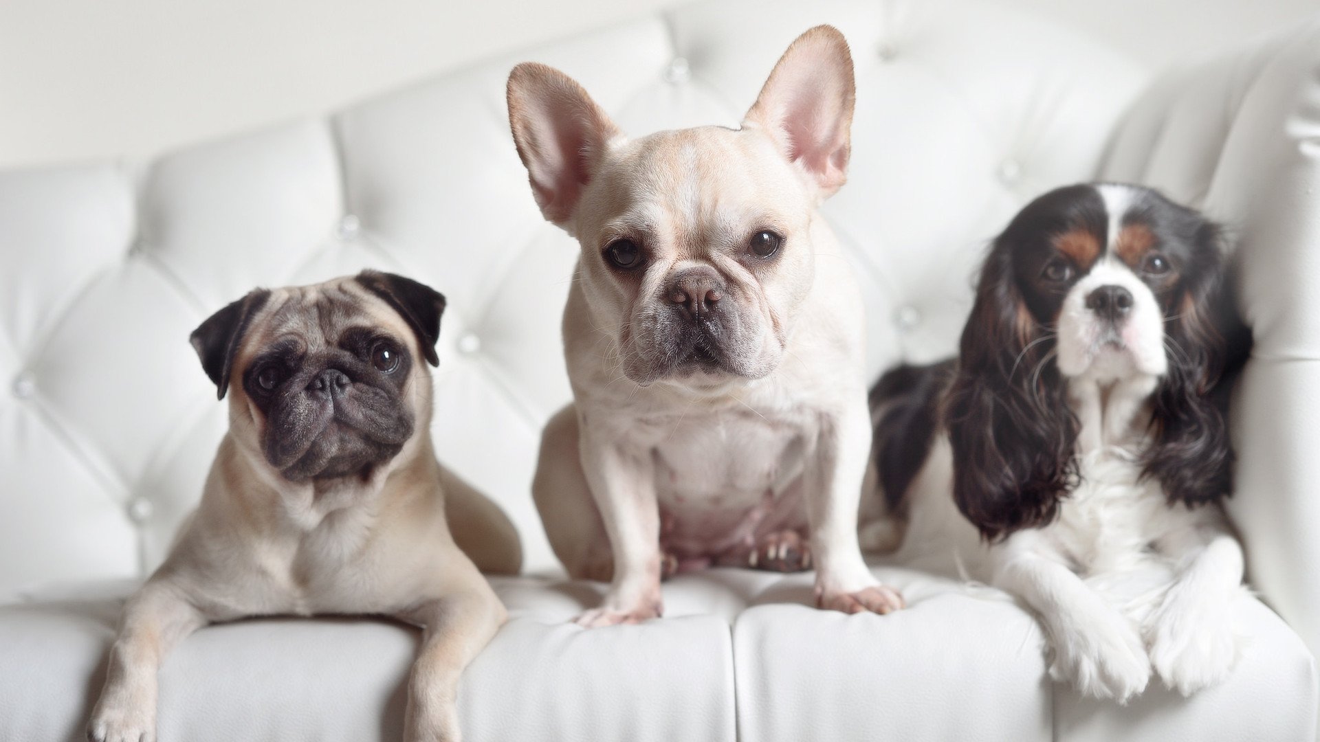 【战略布置】教练如何设计攻守一体的比赛方案,攻守道比赛