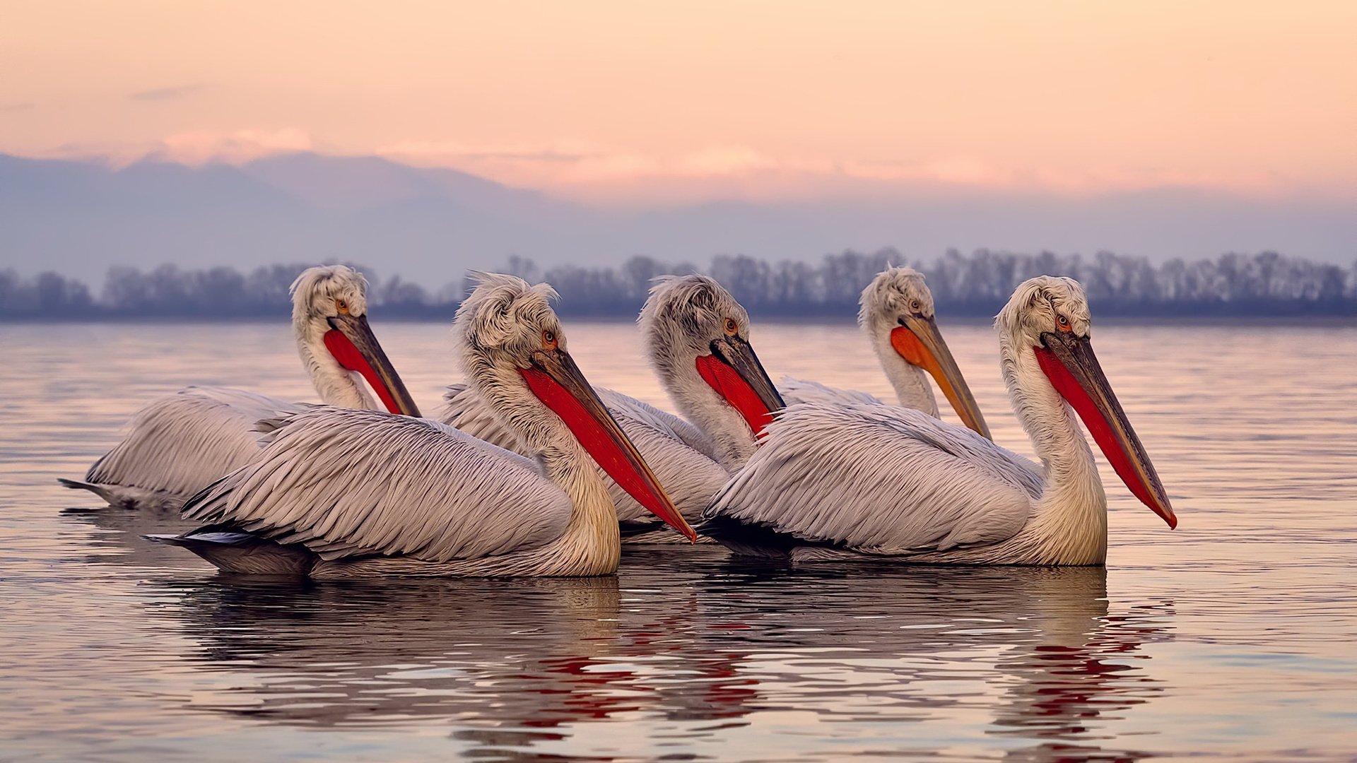 全国青少年“科技创新”篮球赛事在北京持续火热，推动行业新科技应用
