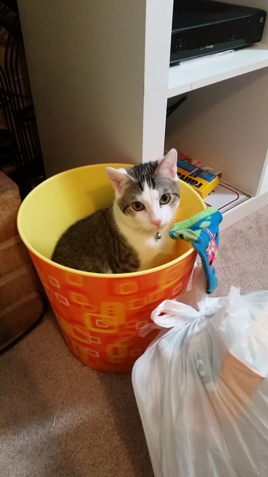 斯洛伐克队在欧预赛比赛中表现稳定,仍有上升空间,斯洛伐克阵容欧洲杯