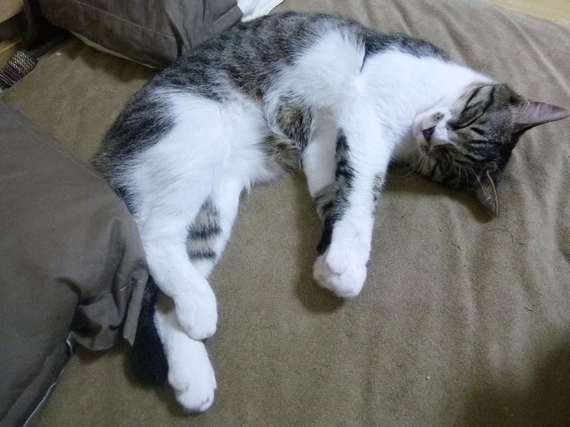 爱游戏app下载-史上最令人震惊的“逆转奇迹”，被永远铭记！，逆转简介