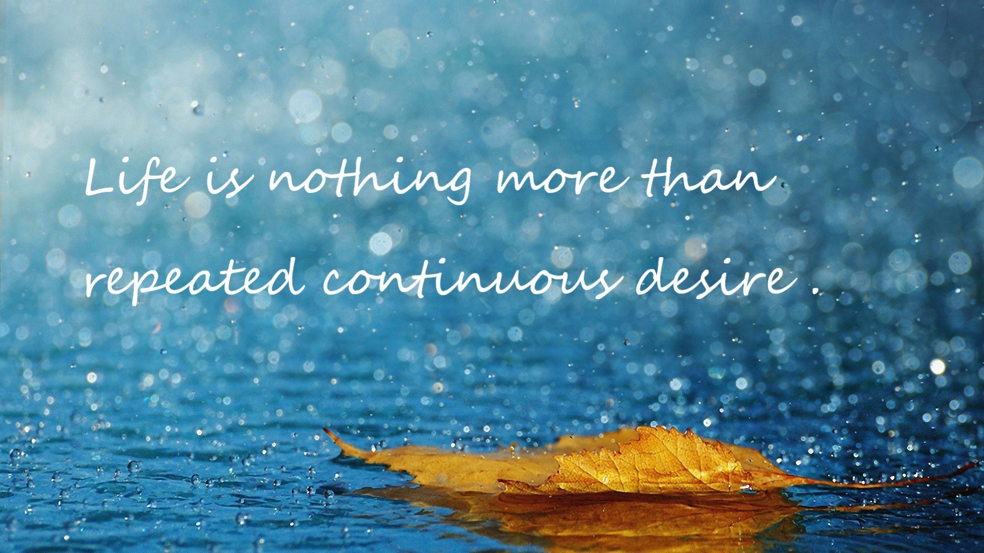 历史回望:那些年我们一起追过的NBA经典战役,nba有哪些经典的比赛