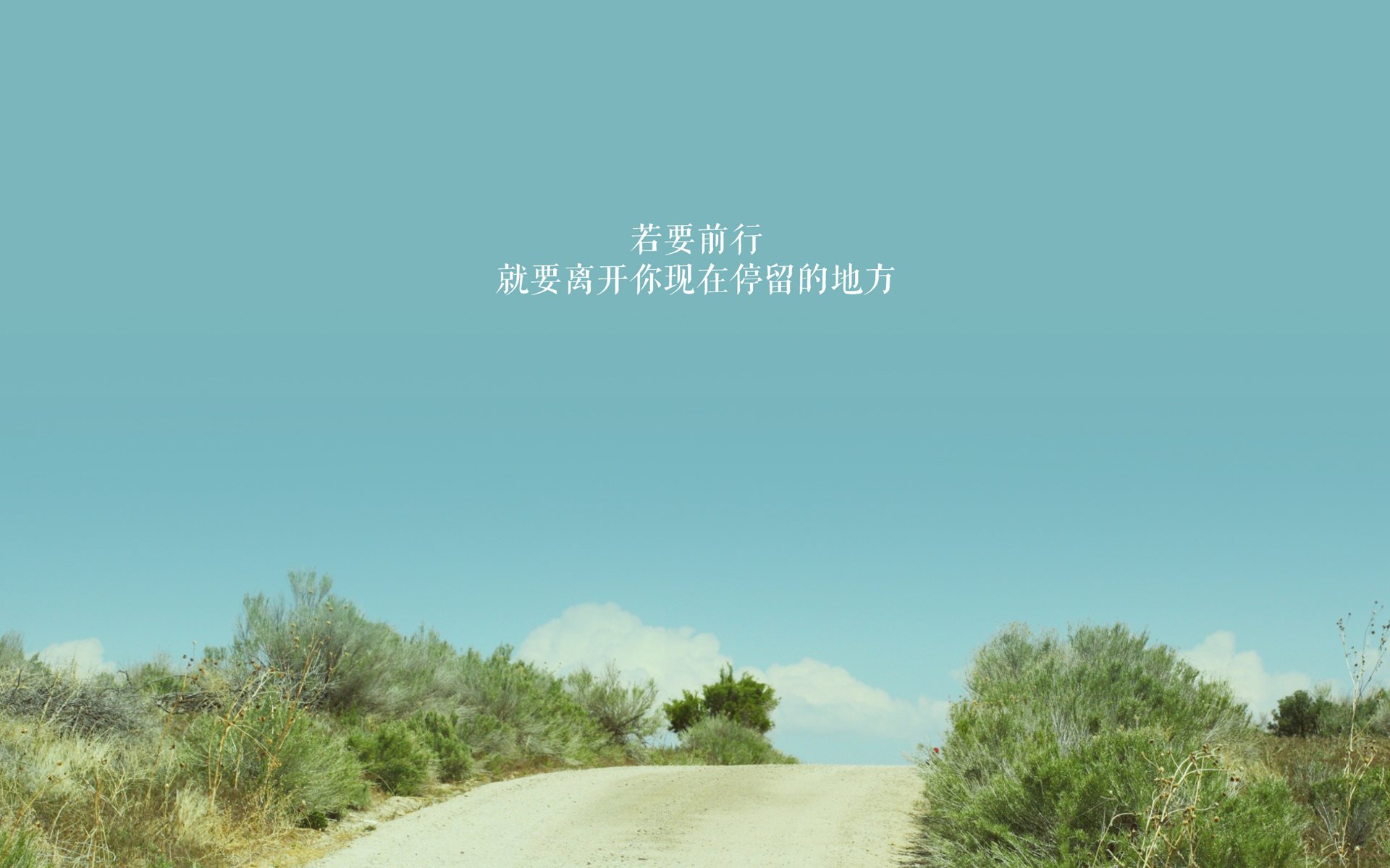 女足世界杯,巾帼不让须眉的竞技盛宴,女足世界杯赛事