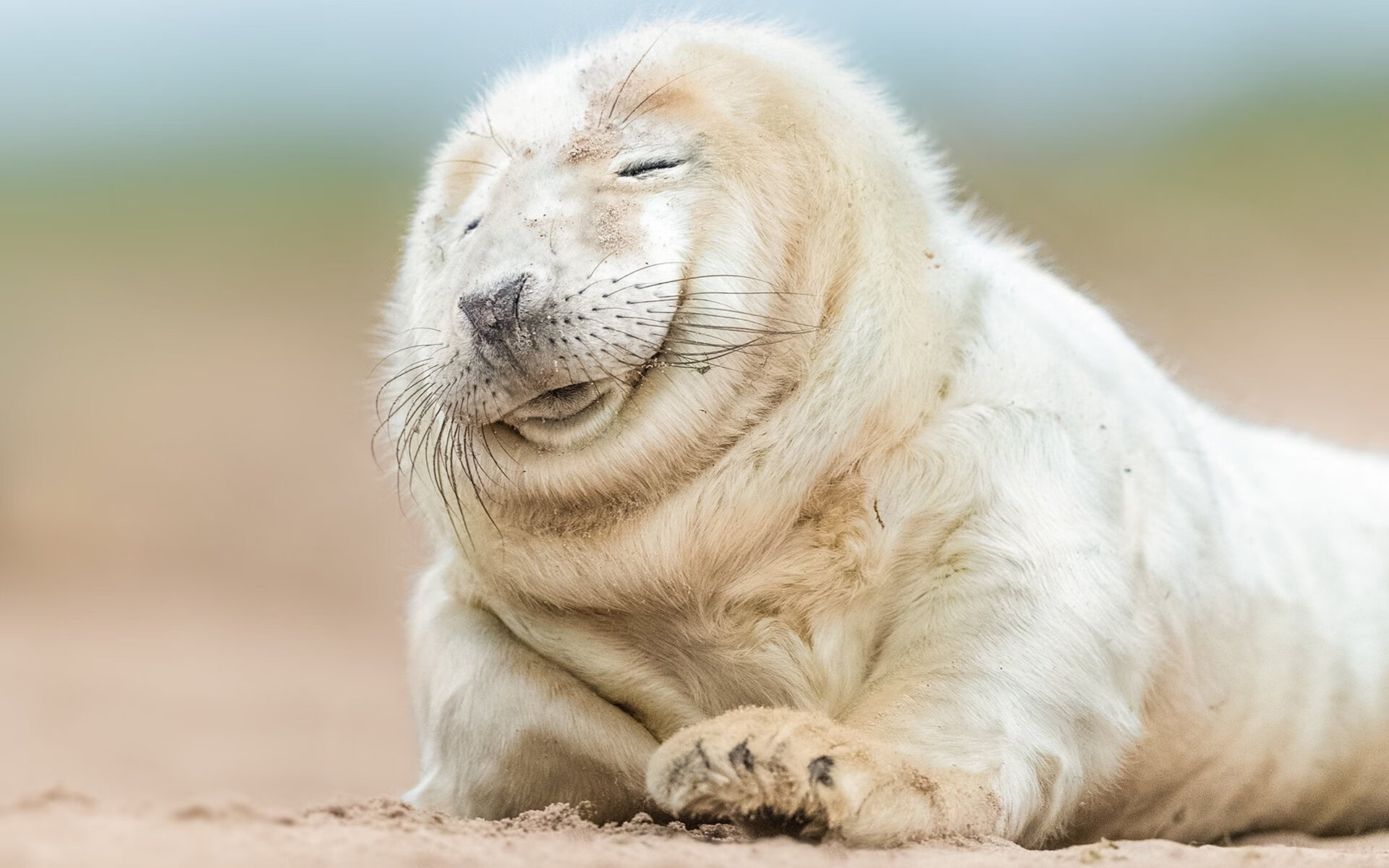 足球风云再起，女子球员再创辉煌，足球风云女主