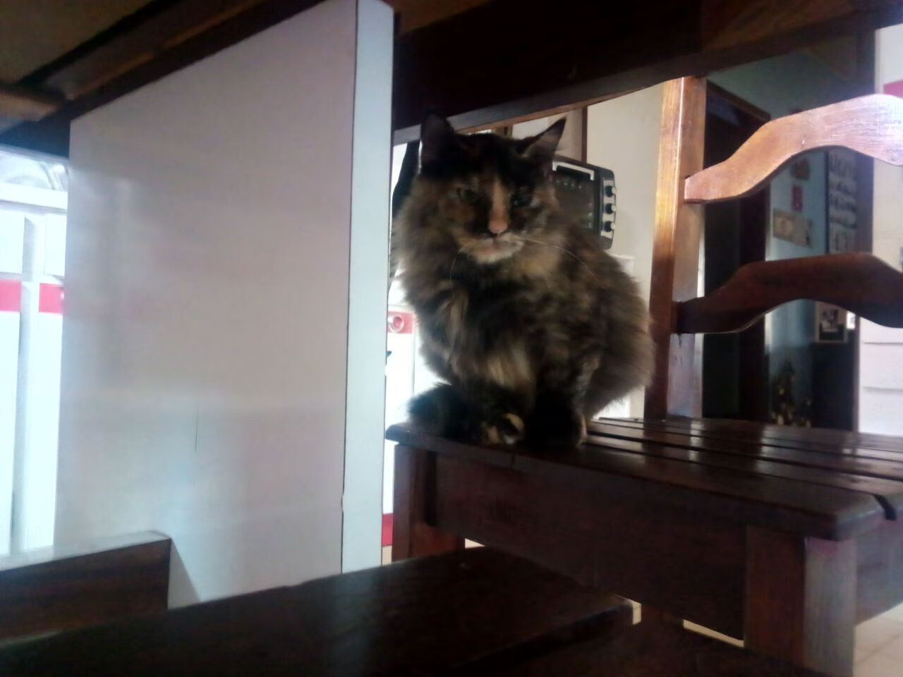 意甲比赛精彩,专家期待未来表现,意甲赛事预测