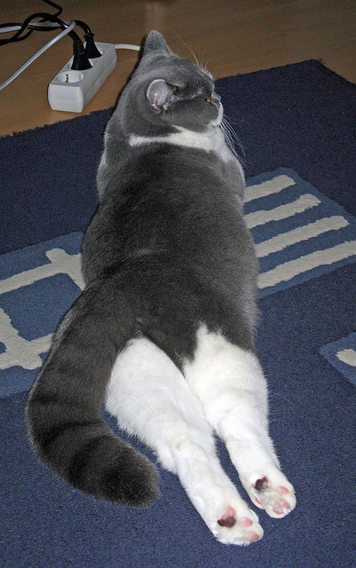 法甲球队“宽度+压迫”战术剪不断、理还乱,法甲19-20