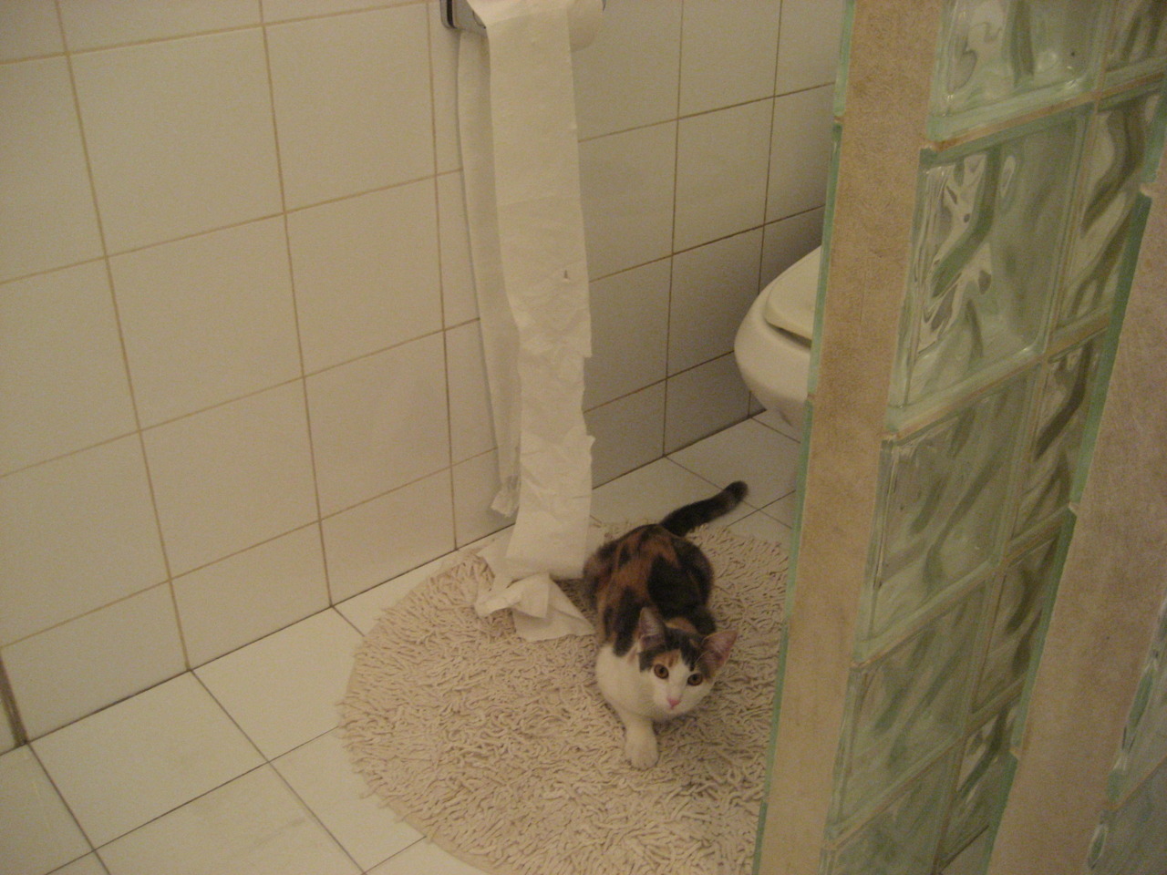 NBA球队战术板应用技巧,nba战术术语