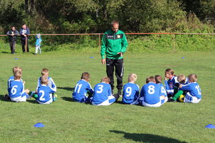 爱游戏官方-中国篮球教练员团队协作能力培养与管理实践，篮球教练员在团队中扮演了哪些角色