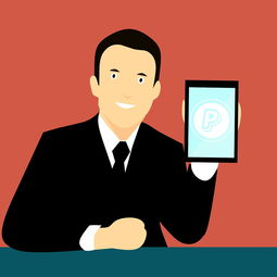 AIYOUXI.COM-中国篮球联赛品牌建设策略与粉丝经济发展研究，中国国内的篮球联赛简称