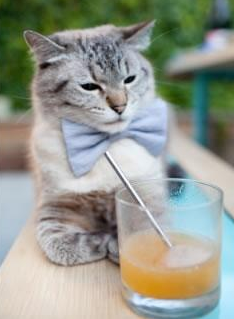 英超青训营引入虚拟现实技术强化战术理解,英超vr新规则