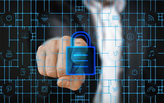 AYX GAMING-赛事风险管理体系，体育赛事风险管理的主要内容