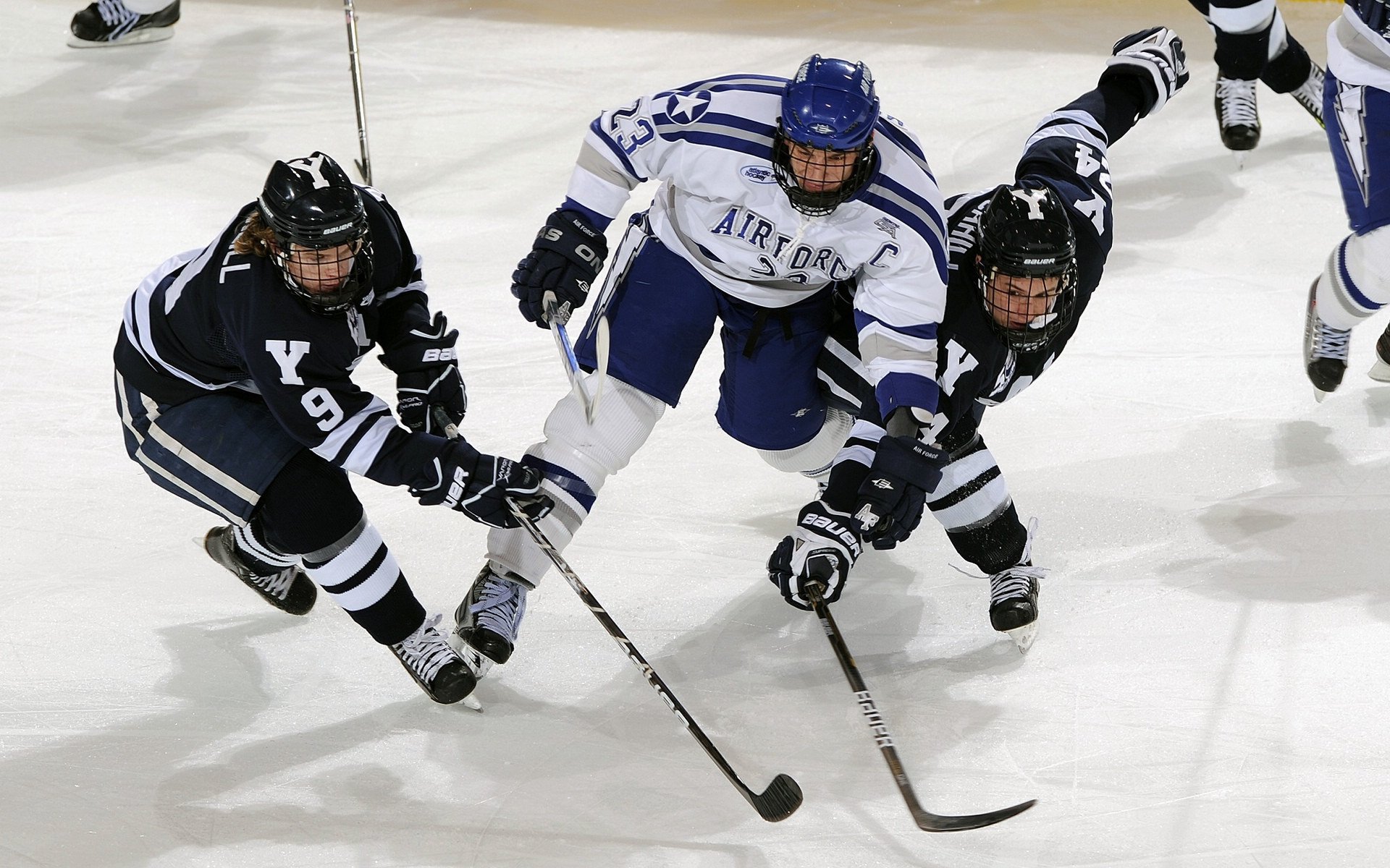 AYX官网-运动员坚持训练的动人故事，运动员坚持训练的例子