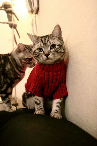 远射“天外飞仙”:那些令人震惊的欧冠长距离射门,欧洲杯中场远射