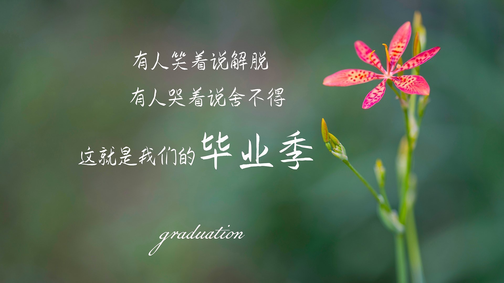 阳光水上篮球赛,激烈拼抢热情满满,水上公园篮球场