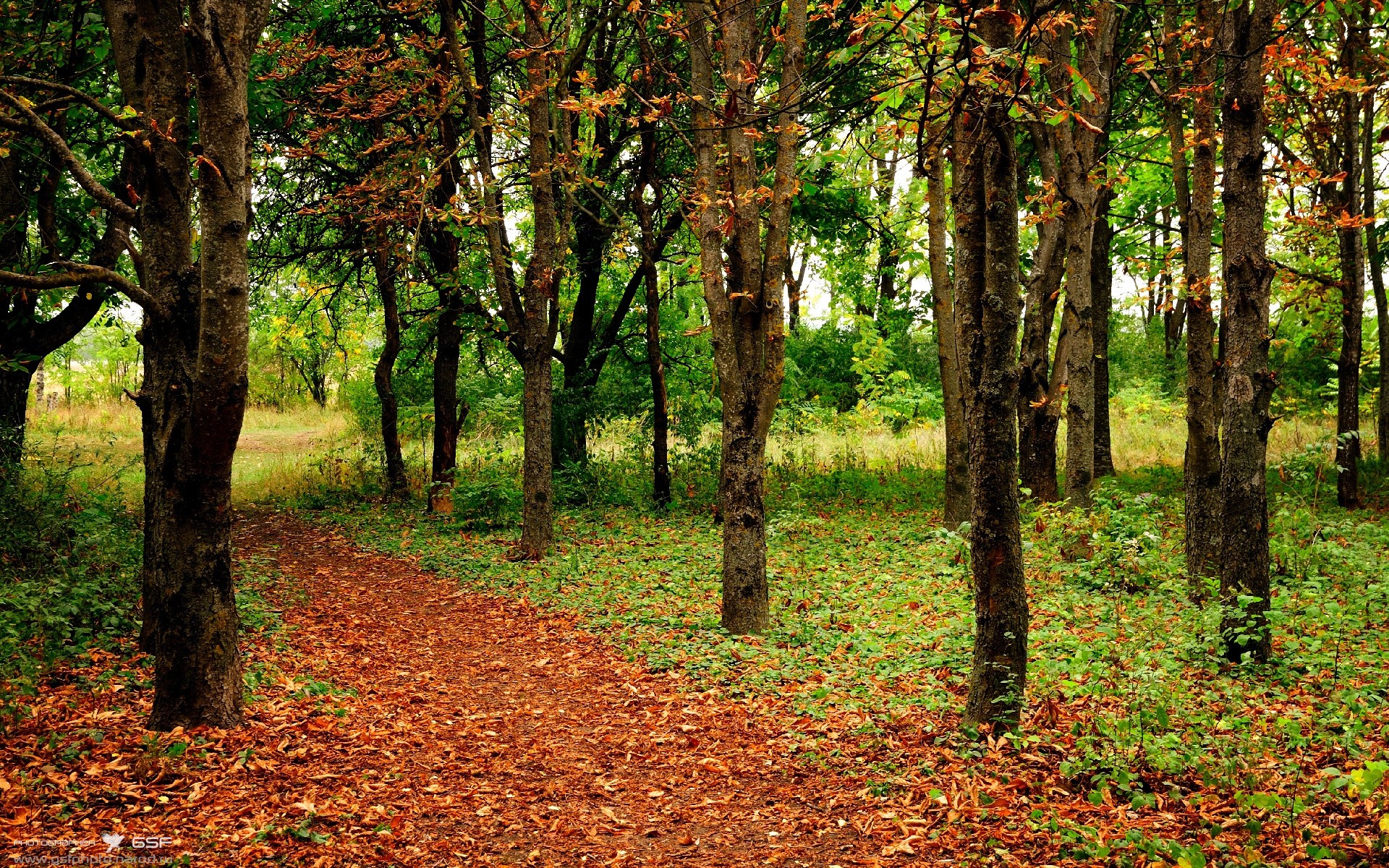 AYX GAME-上港队员表现抢眼，顶住对手压力，上港队训练