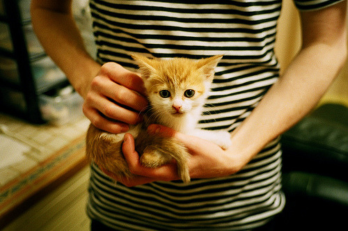 PSG赛后准备调整,迎接未来挑战,psg赛区是哪个赛区