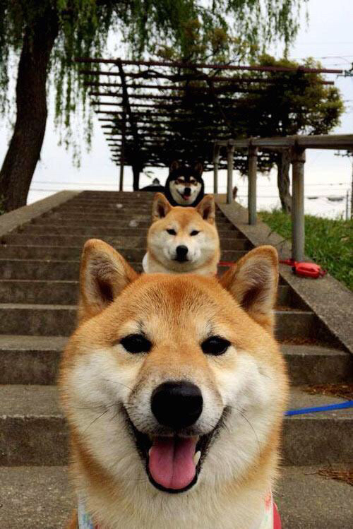 利物浦主帅批评球队防守不力需改进,利物浦队怎么样