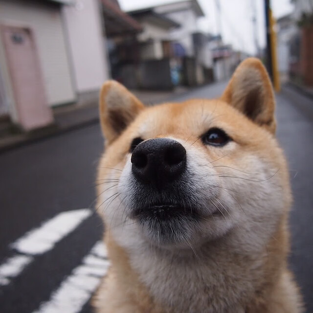 爱游戏 电竞-球队前锋组合失联是否意味着进攻战术应重新设计，前锋足球队员