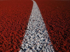 爱游戏平台-田径项目专项训练成效显著，田径专项体能训练