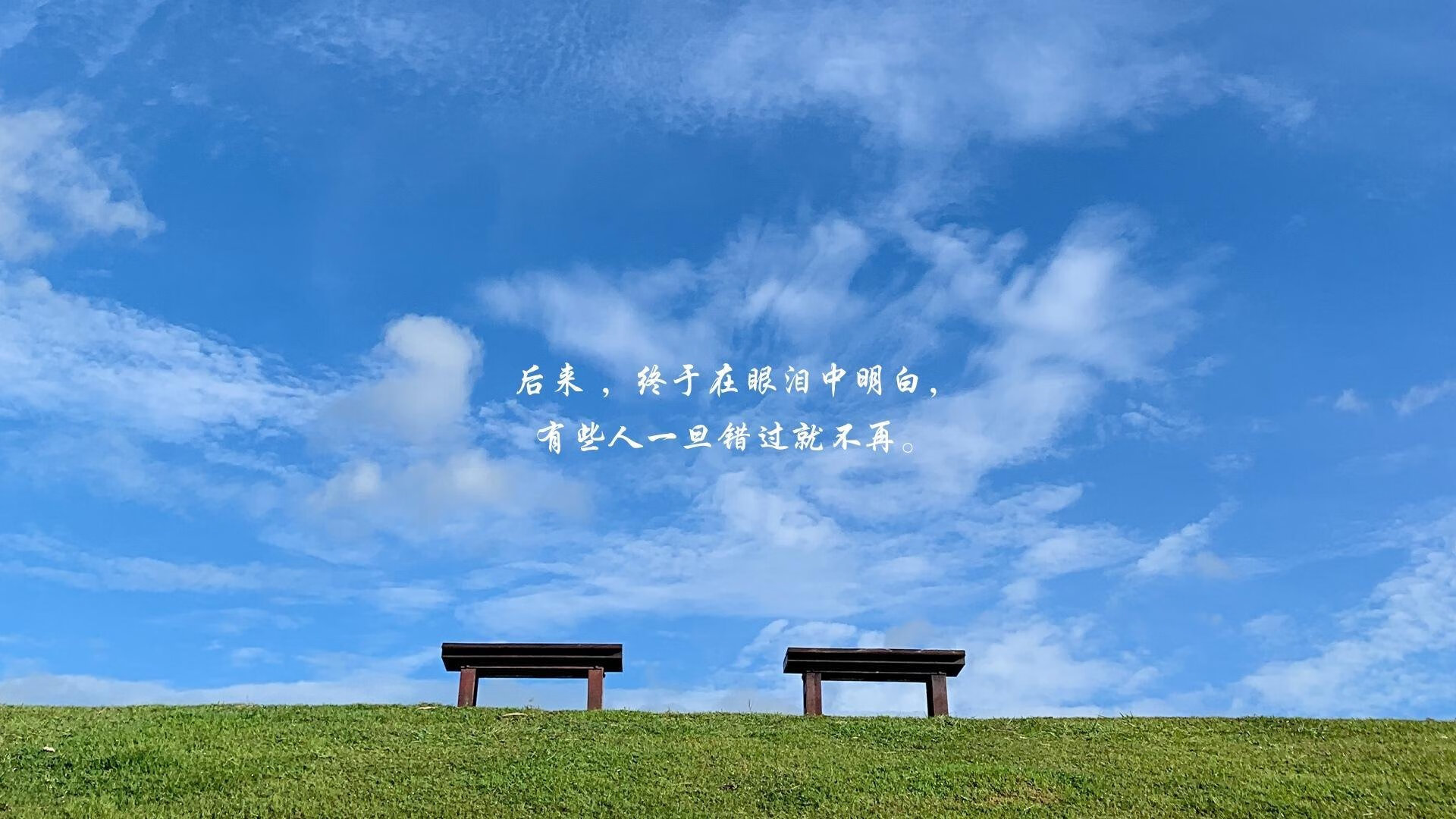 美国乒乓队未来发展蓝图:加强青训体系与国际合作,美国 乒乓球