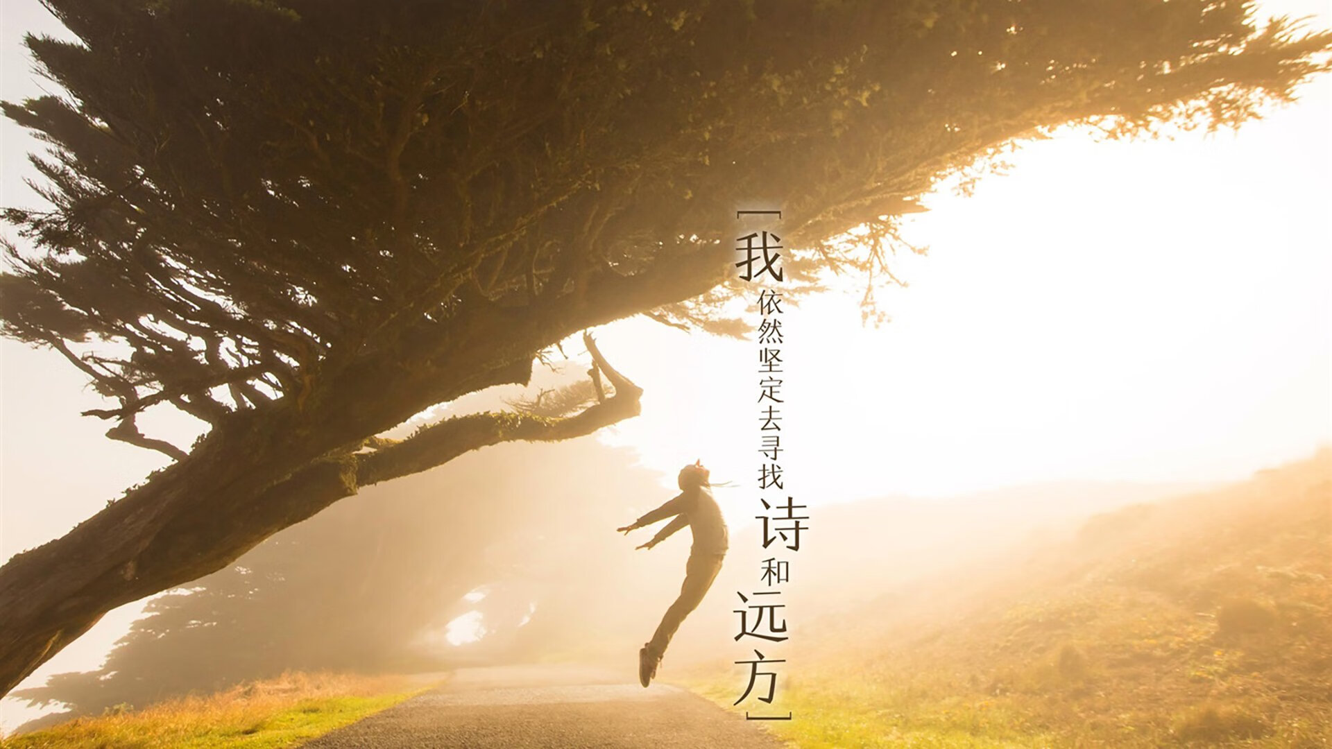 大连一方球员在比赛中发挥出色,展现实力,大连一方球迷贴吧