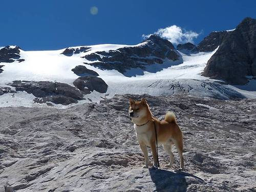 山东队击败深圳，锁定季后赛资格，山东对深圳篮球比赛