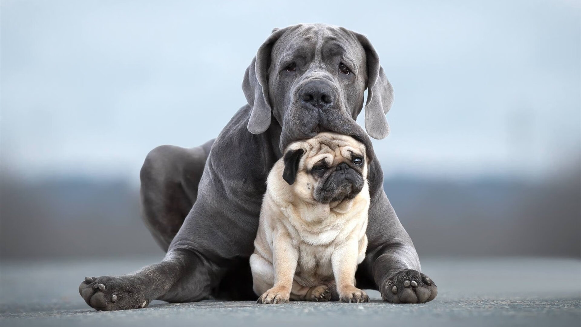 日本队战胜沙特,亚洲杯小组赛豪取两连胜,日本队战胜沙特,亚洲杯小组赛豪取两连胜了吗