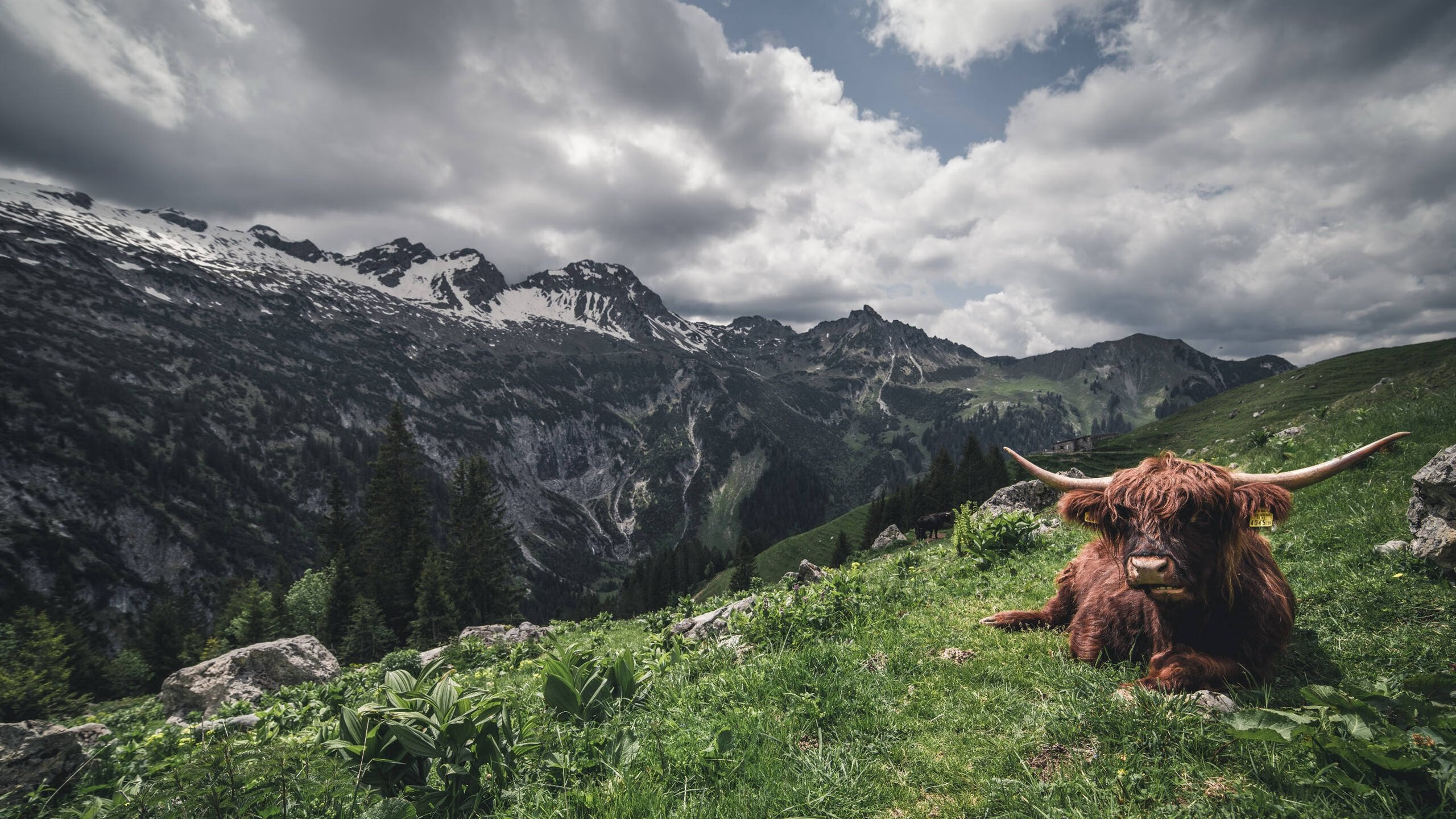 前沿科技:5G、云计算助力全球直播,前沿科技app