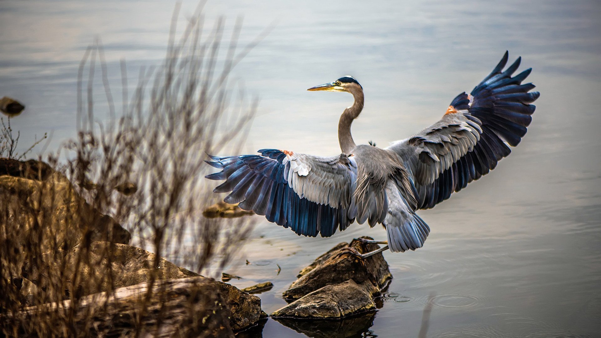 国际体育合作交流机制建设建议,国际体育联合会有哪些