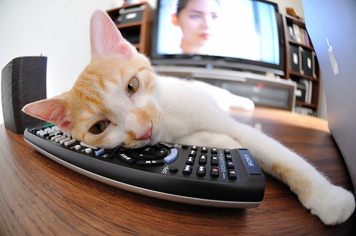 新闻中心发布体育奖项评选细则改动说明，体育评奖有什么称号