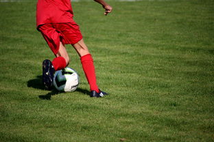 爱游戏-校园足球教练培训体系现状与改革思路，校园足球师资培训