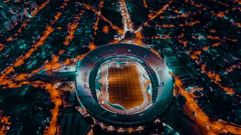 爱游戏官方网站-爱尔兰青训系统助力橄榄球未来腾飞，爱尔兰橄榄球联盟