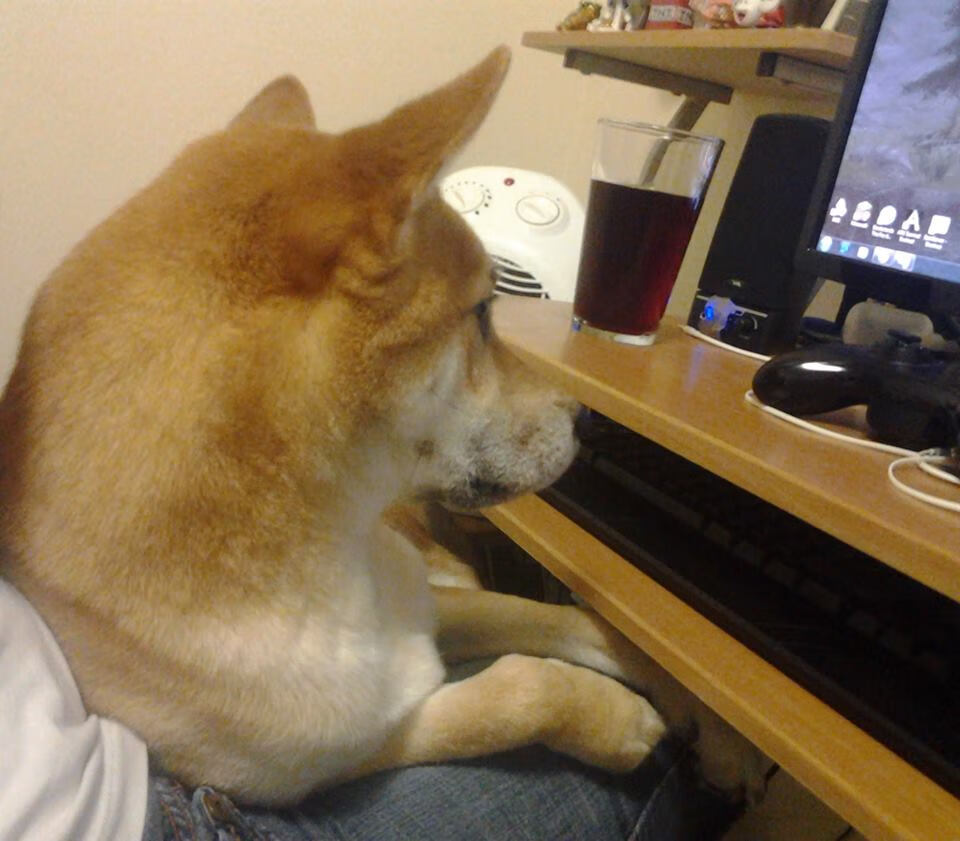 传控型中场是否更适合面对高压对抗型对手,传控打法和防守反击