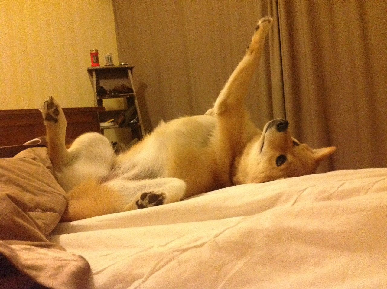 国际热身赛中国足球战平 球迷分析攻防转换，国足敲定热身赛对手